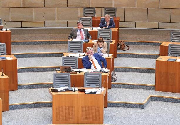 Bild vergr&ouml;&szlig;ern: AfD-Landtagsabgeordnete beschäftigen besonders viele Mitarbeiter