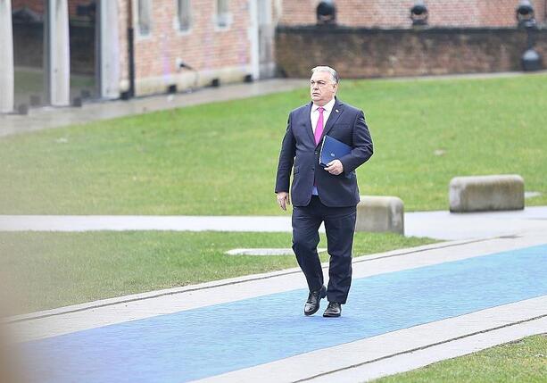 Bild vergr&ouml;&szlig;ern: EU-Politiker fordern Stimmrechtsentzug für Ungarn