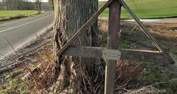 Mehr Verkehrstote in Deutschland