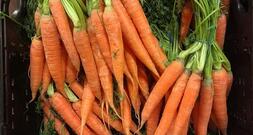 Gemüseernte steigt 2025 auf neuen Höchststand