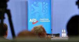 Ex-Verfassungsrichter hält AfD-Verbot in Thüringen für 