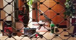 Fast eine Million Kleine Waffenscheine in Deutschland registriert