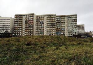 Gestiegene Privatinsolvenzen: Linke fordert 