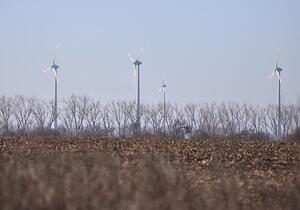 Unternehmen und Grüne starten Appell gegen Energiepolitik
