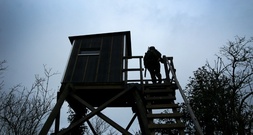 Dutzende Hochsitze in Sachsen zerstört: Razzia bei militanten Tierschützern