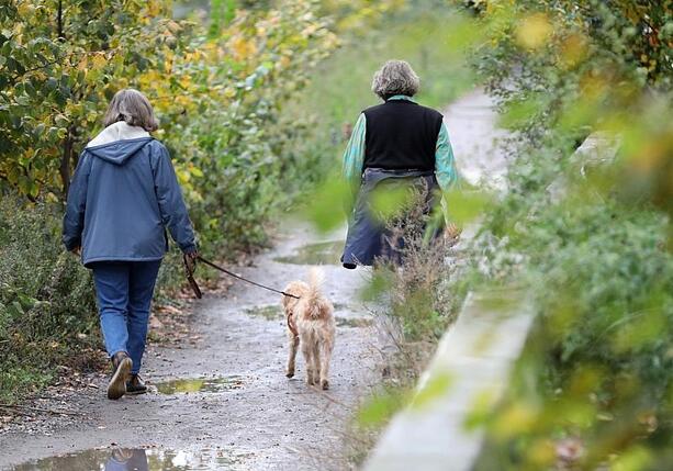 Bild vergr&ouml;&szlig;ern: Muntean: Wenn Frauen krank werden, leidet die ganze Gesellschaft