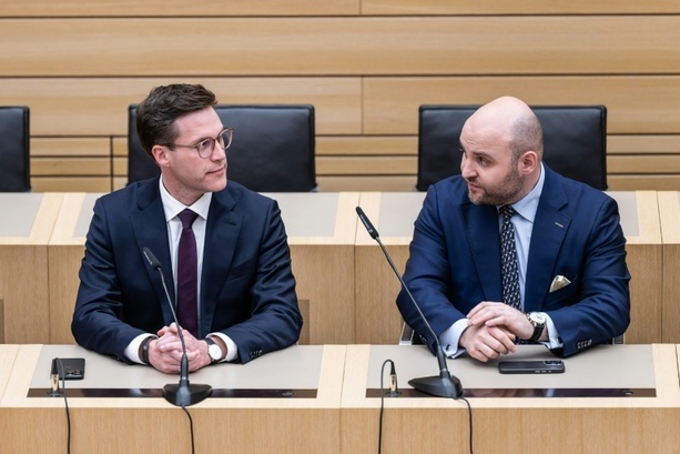 Bild vergr&ouml;&szlig;ern: Baden-Württemberg: AfD bietet sich CDU als Koalitionspartner an