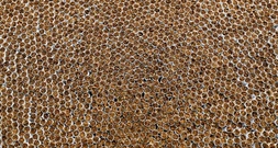 Drei Festnahmen bei Durchsuchungen wegen millionenschweren  Zigarettenschmuggels