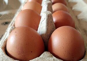 Geflügelwirtschaft sieht knappes Eier-Angebot zu Ostern