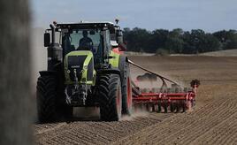 Erzeugerpreise landwirtschaftlicher Produkte im Januar gesunken