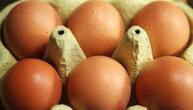 Eierproduktion 2025 leicht gestiegen