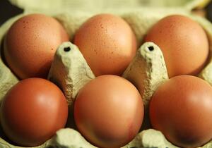 Eierproduktion 2025 leicht gestiegen