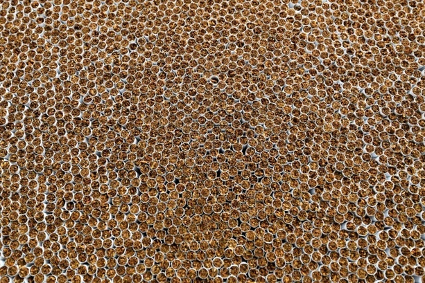 Bild vergr&ouml;&szlig;ern: Zoll entdeckt mehr als eine Million illegale Zigaretten in Geschirrspülerkartons