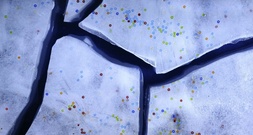 Spülschwämme sind schuld: Abwasch per Hand setzt tonnenweise Mikroplastik frei