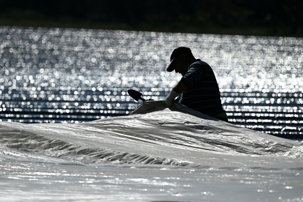 Bild vergr&ouml;&szlig;ern: Bauernverband pocht auf Ausnahmen beim Mindestlohn für Saisonarbeiter
