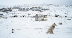 Bericht: Dänemark schickte nach Trump-Drohung Elitetruppen nach Grönland