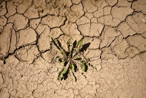 Fehlende Niederschläge: Wasserspeicherung in Deutschland nimmt ab