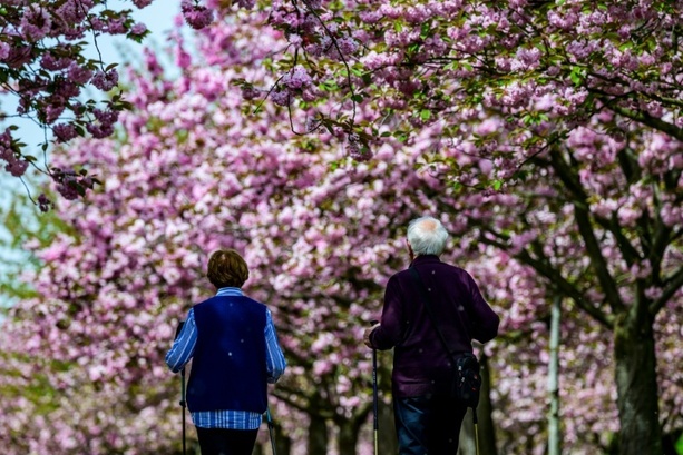 Bild vergr&ouml;&szlig;ern: Union kritisiert neue Riester-Rente - kurz vor Entscheidung im Bundestag