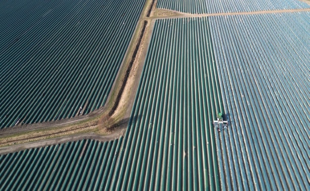 Bild vergr&ouml;&szlig;ern: Erntemenge und Anbaufläche von Spargel in Deutschland rückläufig