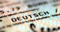 Ifo: Staatsbürgerschaft durch Geburt reduziert Jugendkriminalität