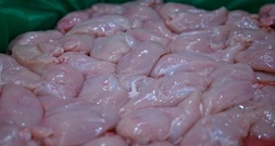 Eine Tonne ungekühltes Hähnchenfleisch in Nordrhein-Westfalen beschlagnahmt