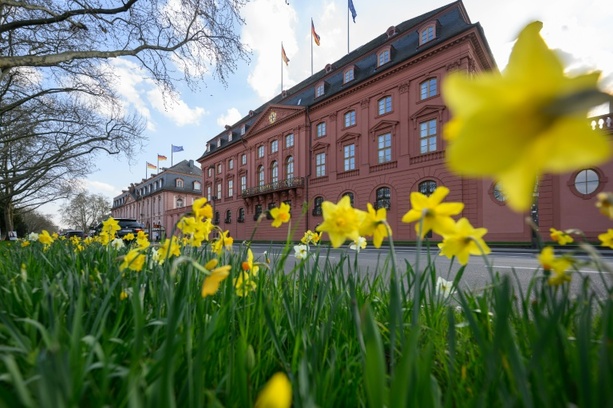Bild vergr&ouml;&szlig;ern: SPD in Rheinland-Pfalz nimmt Einladung zu Sondierungsgesprächen mit CDU an