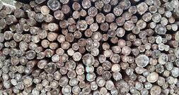 Deutschland legt Vorschläge zur EU-Entwaldungsverordnung vor