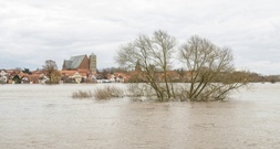 Bund stellt 80 Millionen für Anpassung von Städten an Klimawandel bereit