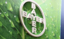 Bayer drängt auf Bürokratieabbau in Europa
