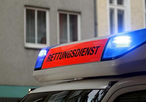 Bild vergr&ouml;&szlig;ern: Mindestens zwei Personen bei Flensburg von Baum erschlagen