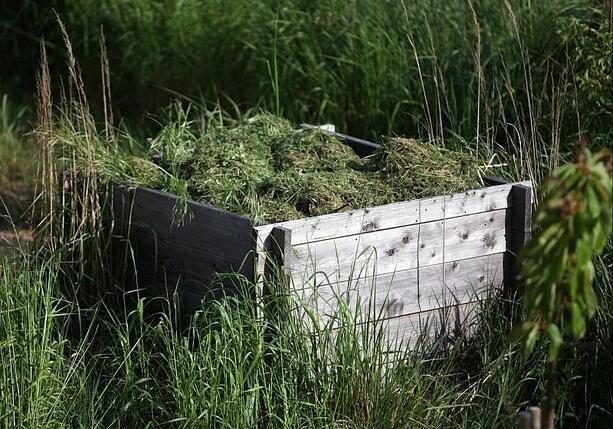 Bild vergr&ouml;&szlig;ern: Städtetag fordert bundesweites Nachtfahrverbot für Mähroboter
