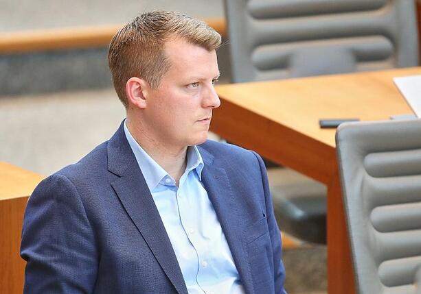 Bild vergr&ouml;&szlig;ern: Höne hält an FDP-Vorsitzkandidatur fest