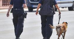 Bundespolizei fehlen Hunderte Sprengstoffhunde