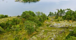 Umfrage: Mehr als jeder Zweite denkt zumindest gelegentlich an Auswanderung