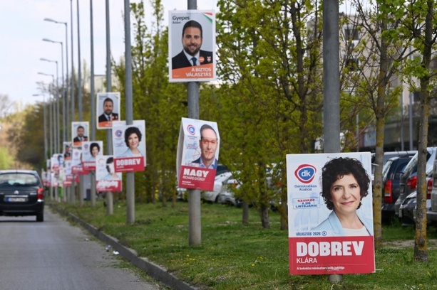 Bild vergr&ouml;&szlig;ern: Haßelmann hofft auf Regierungswechsel in Ungarn - und Neubeginn