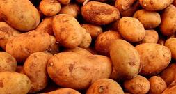 Landwirtschaftliche Erzeugerpreise im Februar deutlich gesunken