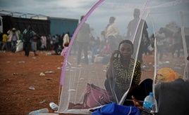 Chipknappheit durch KI bremst stärkere weltweite Internetverbreitung aus