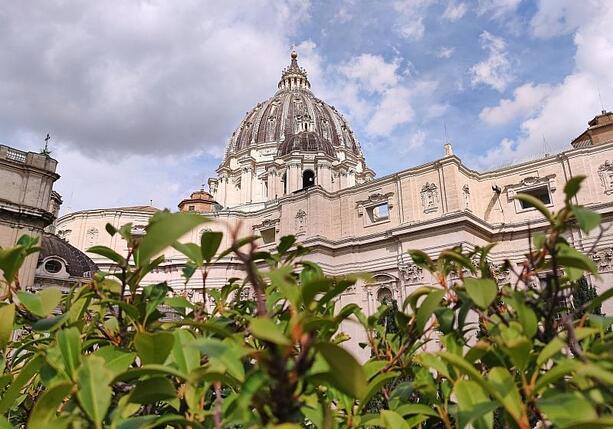 Bild vergr&ouml;&szlig;ern: Vatikanexperte sieht Papst als Gegengewicht zu Trump