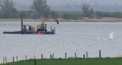 Buckelwal vor Ostseeinsel Poel schwimmt sich nach rund drei Wochen wieder frei