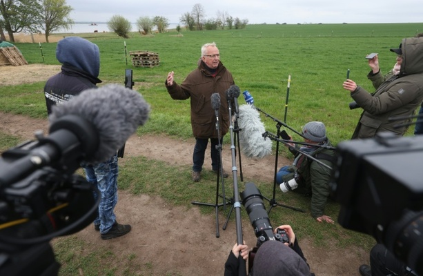 Bild vergr&ouml;&szlig;ern: Neue Wende in Drama um Buckelwal: Tier schwimmt sich selbst frei