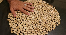 Exporte deutscher Unternehmen in den Iran sinken 2025 um fast ein Viertel