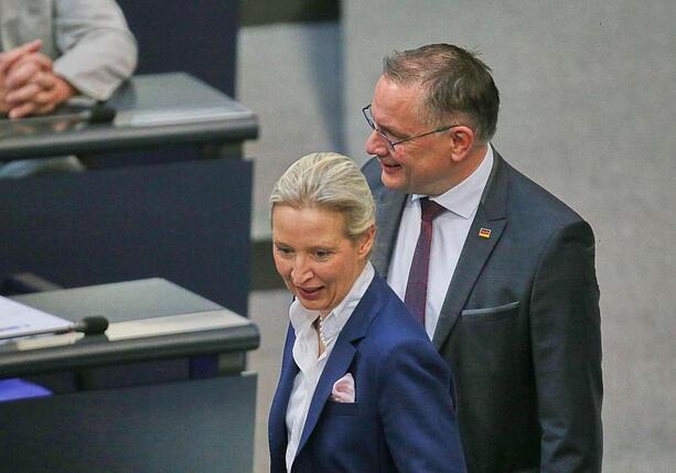 Bild vergr&ouml;&szlig;ern: Umfrageinstitut Insa meldet neuen Rekordwert für AfD
