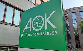 Gesundheitsministerin stellt Zahl der Krankenkassen infrage