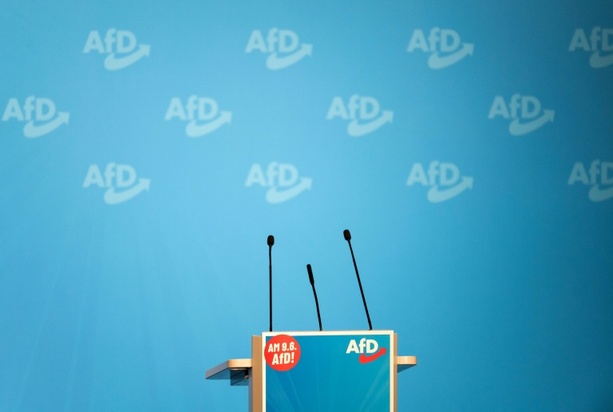 Bild vergr&ouml;&szlig;ern: Nach befremdlicher Rede: AfD NRW schließt umstrittenes Mitglied Eichwald aus