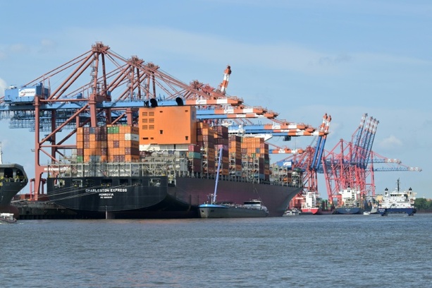 Bild vergr&ouml;&szlig;ern: Fast 700 Kilogramm Kokain in Container mit Holzpellets in Hamburg beschlagnahmt