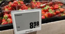 IW hält Anstieg der Inflationsrate auf 4,6 Prozent für möglich