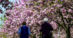 Kabinett beschließt Anstieg der Renten um 4,24 Prozent zum 1. Juli