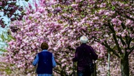 Kabinett beschließt Anstieg der Renten um 4,24 Prozent zum 1. Juli
