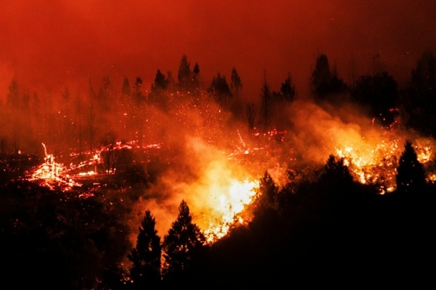 Bild vergr&ouml;&szlig;ern: Studie: Zerstörung tropischer Regenwälder 2025 nach Rekordjahr leicht zurückgegangen