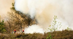 Mindestens fünf Waldbrände in den Niederlanden - Unterstützung aus Deutschland
